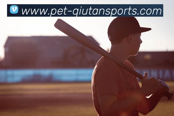 球探体育部门平台生态图