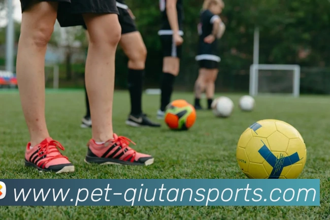 球探体育部门APP 封面图