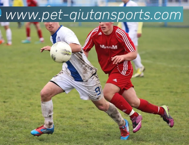 数据防护可视化